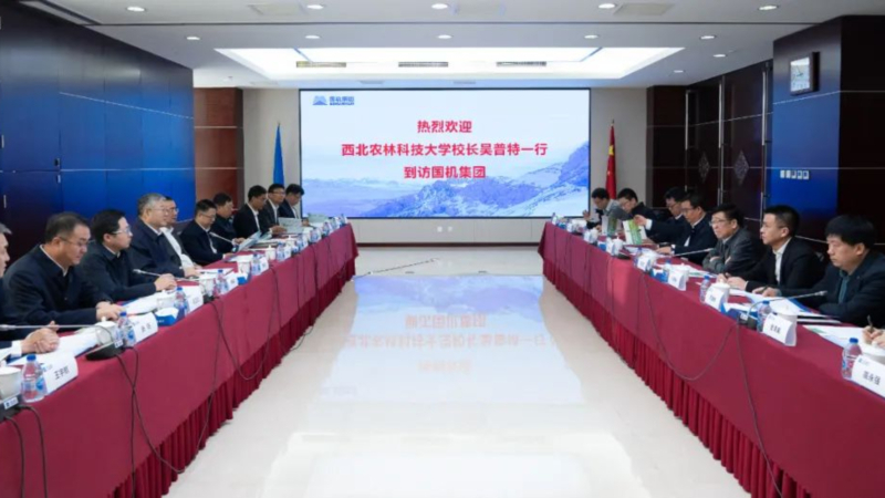 W020250102349828383481