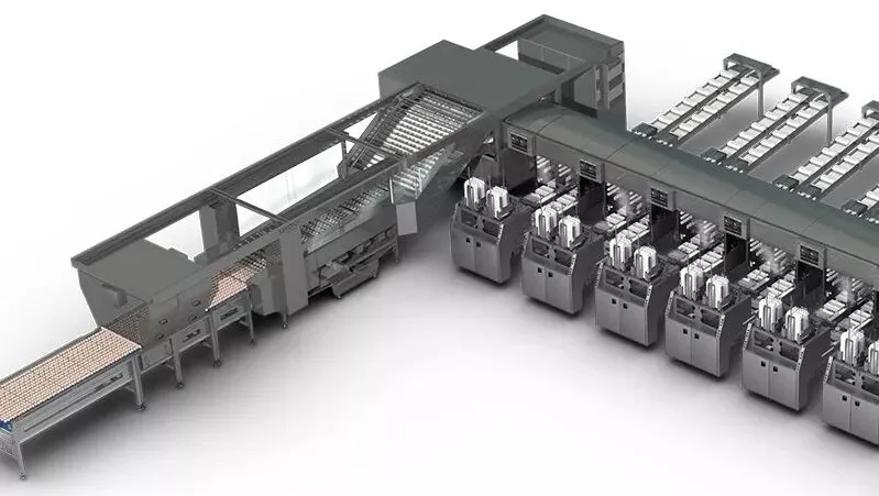 Z6·尊龙凯时(中国区)人生就是搏!